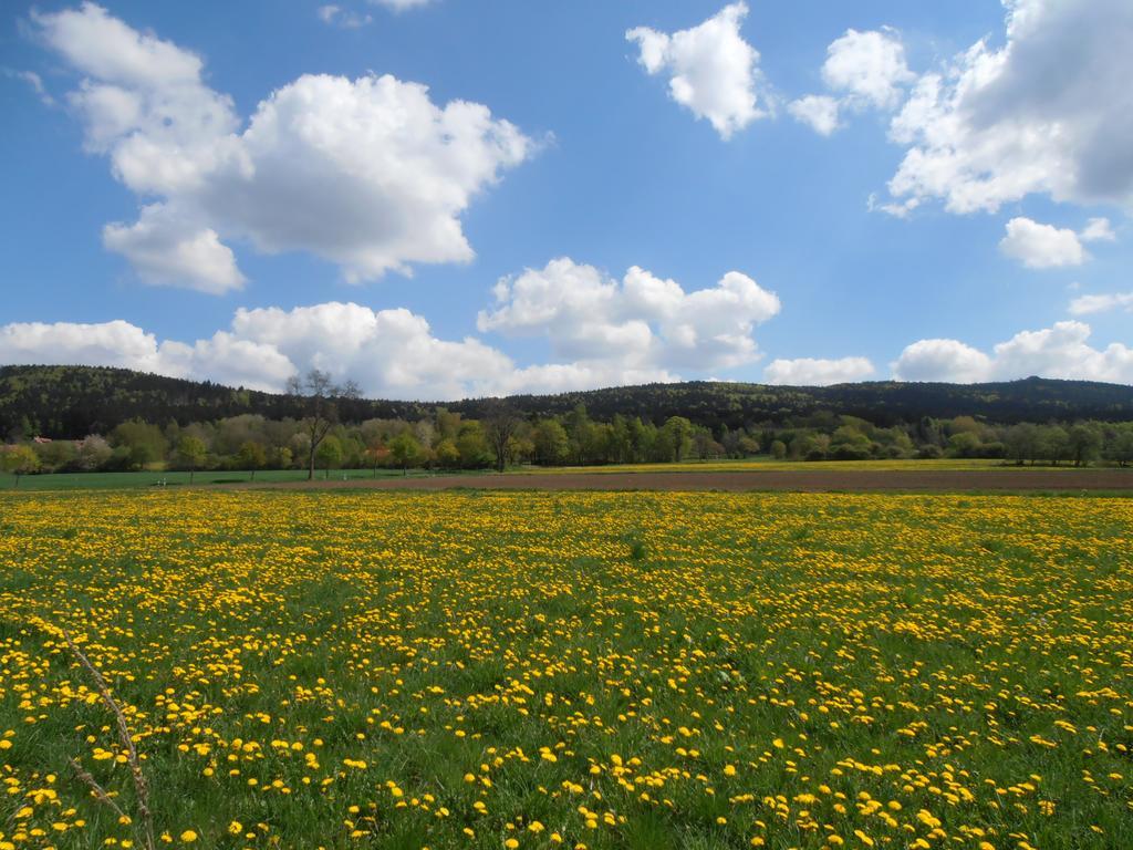 Hotel Gaisthaler Hof Schonsee ภายนอก รูปภาพ
